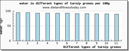 turnip greens water per 100g